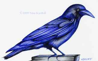 325x203 Blue Crow X In I Created This Drawing Using Pens