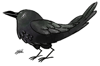 400x266 Crow Drawing Tumblr