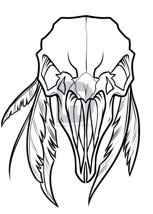 515x720 Crow Skull And Feathers Tattoo Drawing, Step