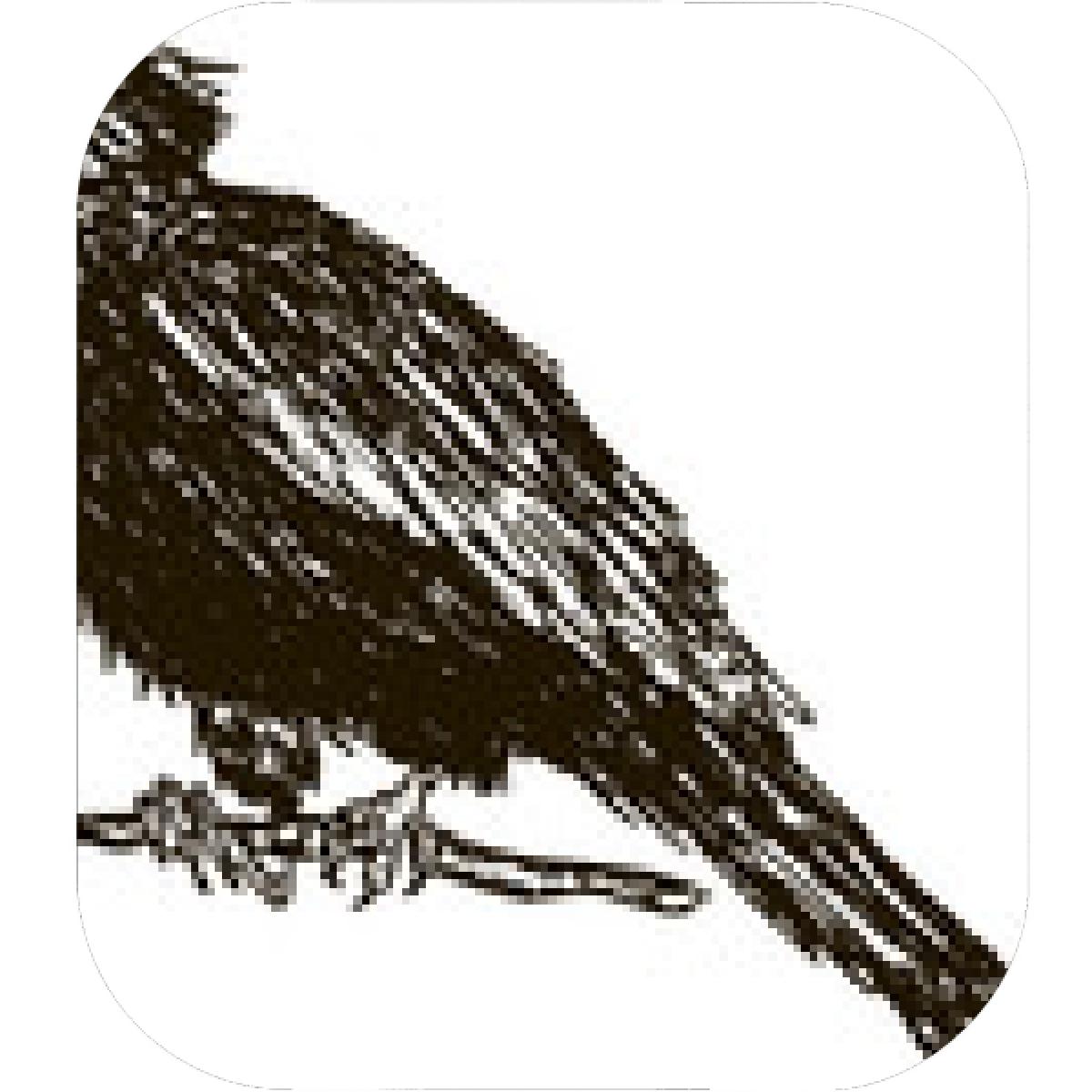 1200x1200 Designs Mein Mousepad Design Mousepad Selbst Designen