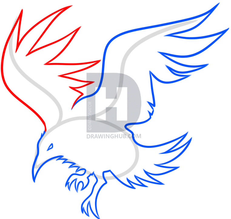 762x720 How To Draw A Tribal Crow, Step