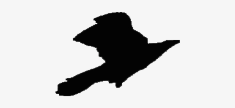 820x377 Silhouette Republic Of Ireland Drawing Violet Crow