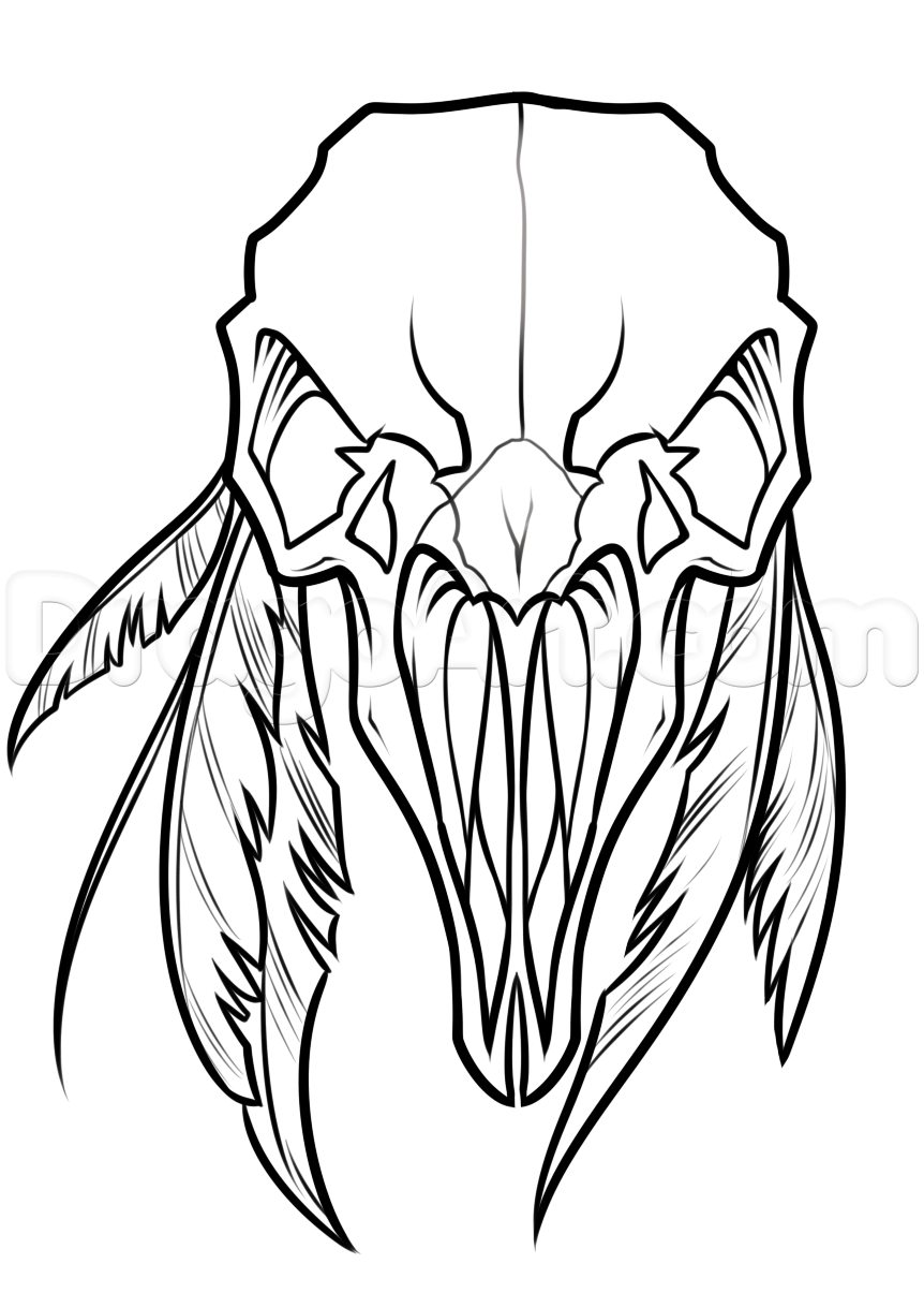 862x1205 Step Crow Skull And Feathers Tattoo Drawing