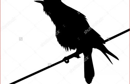 420x270 Crow Drawing Two Headed Three Legged Raven Crow Bird Thingy