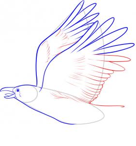 281x302 How To Draw A Crow, Step