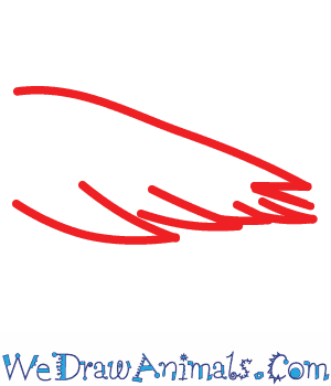 300x350 How To Draw A Crow