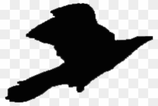 320x216 Silhouette Republic Of Ireland Drawing Violet Crow