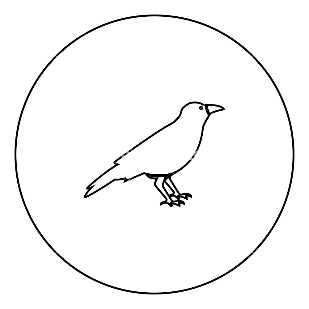 1000x1000 Crow Black Icon In Circle Outline Vector Illustration Image