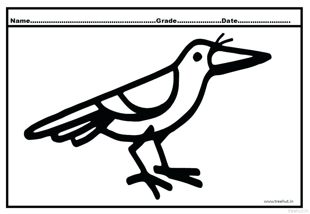 1024x709 Crow Drawing Worksheet For Free Download