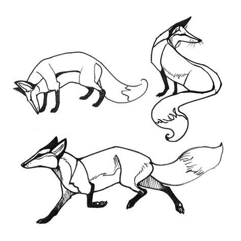 474x473 Fox Face Drawing