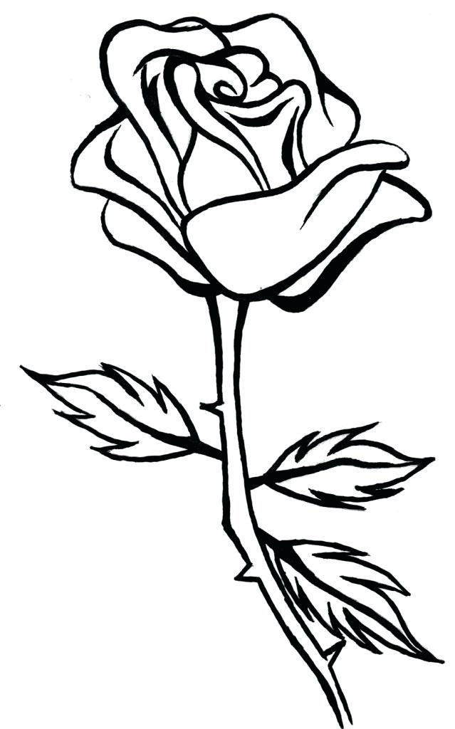 639x1024 simple rose bud drawing how to draw a rosebud simple rose bud