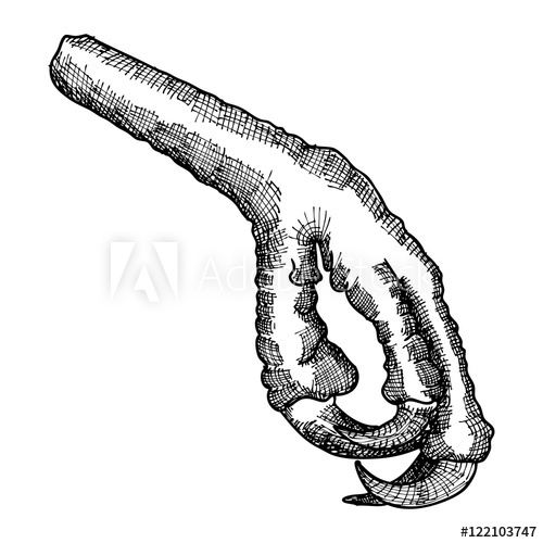 500x500 Bird Feet, Stylized Drawing Decorative Drawn Crow Foot Leg Totem