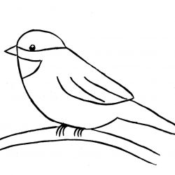 250x250 Birds On Branch Drawing Crow And Flowers Beginners Attacking