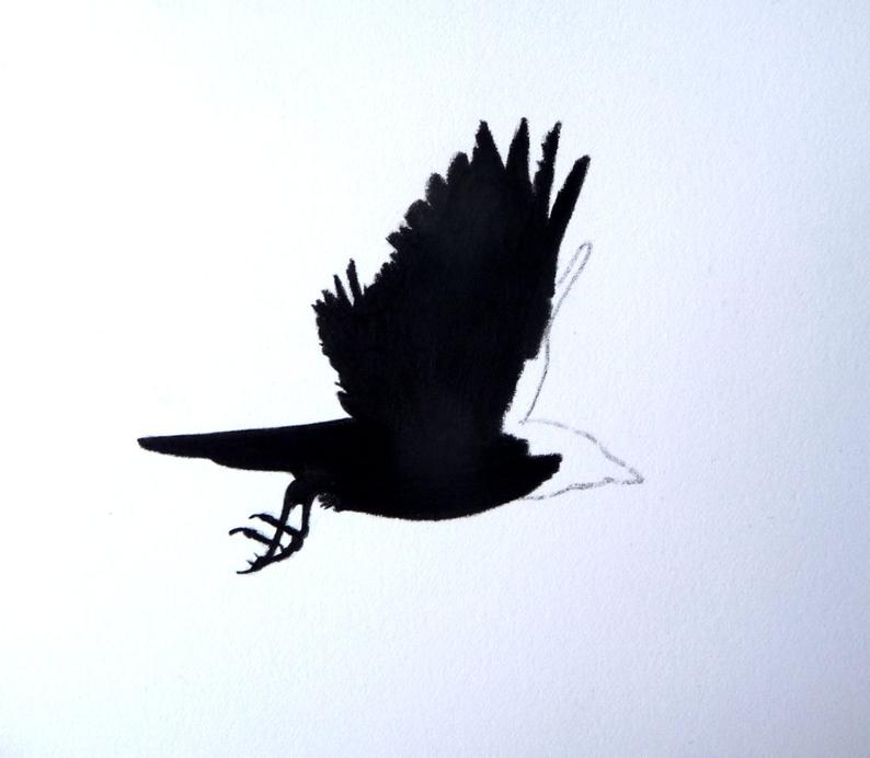 794x692 Crow Original Charcoal Sketch Crow Art Charcoal Drawing Etsy