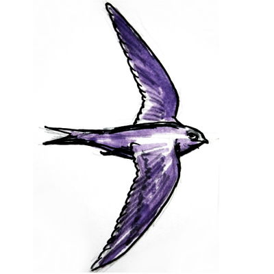 400x400 How To Draw A Crow