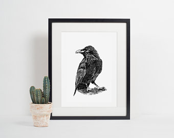 340x270 Raven Drawing Etsy