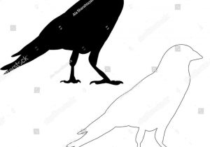 300x210 Ten Gothic Horror Crow Drawing Amazing Pencil Artists On Tumblr