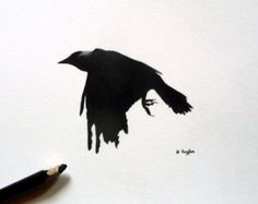 236x187 Delightful Crows Images Crows, Crows Drawing, Raven
