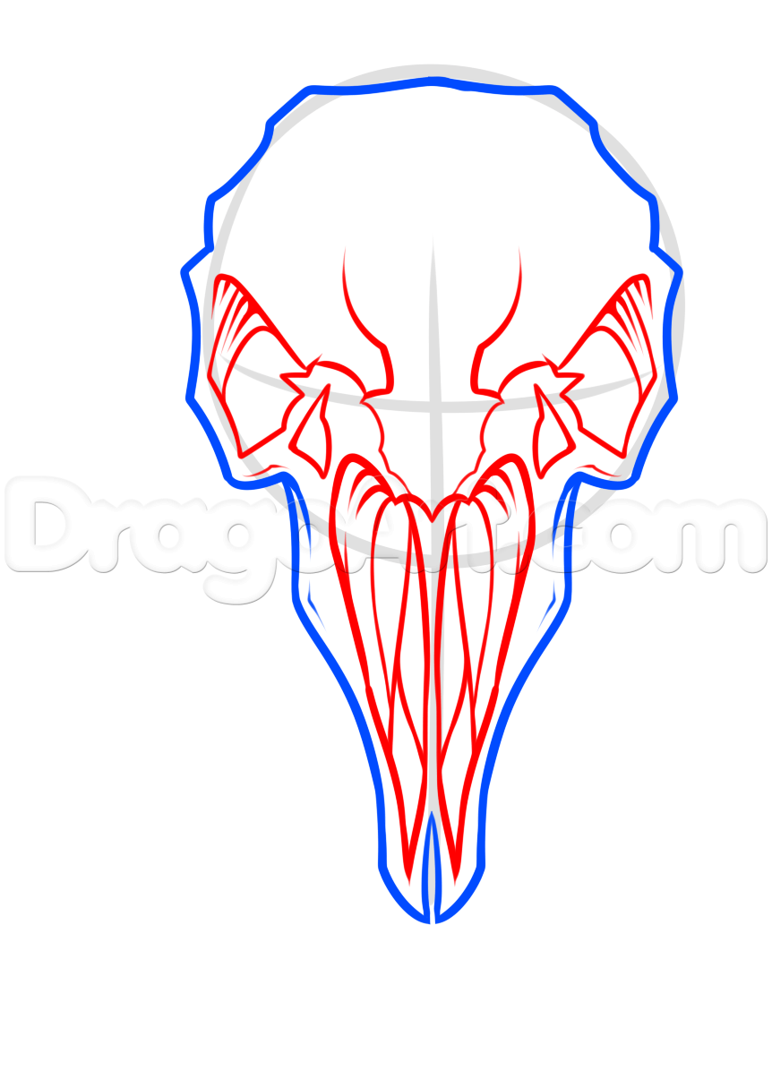 862x1205 Crow Skull And Feathers Tattoo Drawing, Step