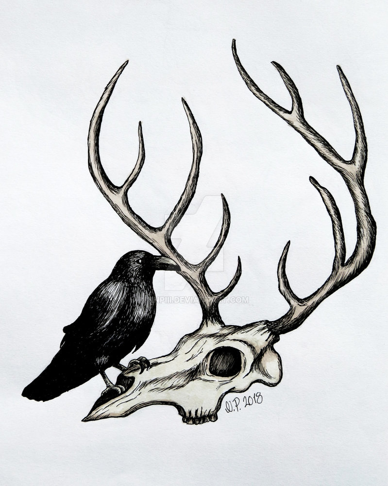 799x1000 Crow And Deer Skull