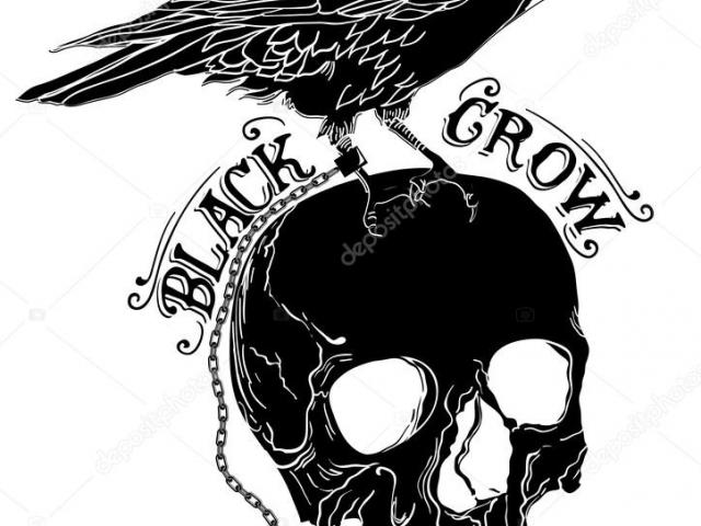 640x480 Drawn Crow Skull