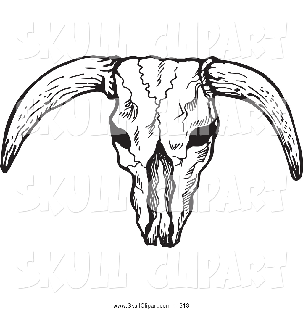 1024x1044 Skull Drawing Clipart