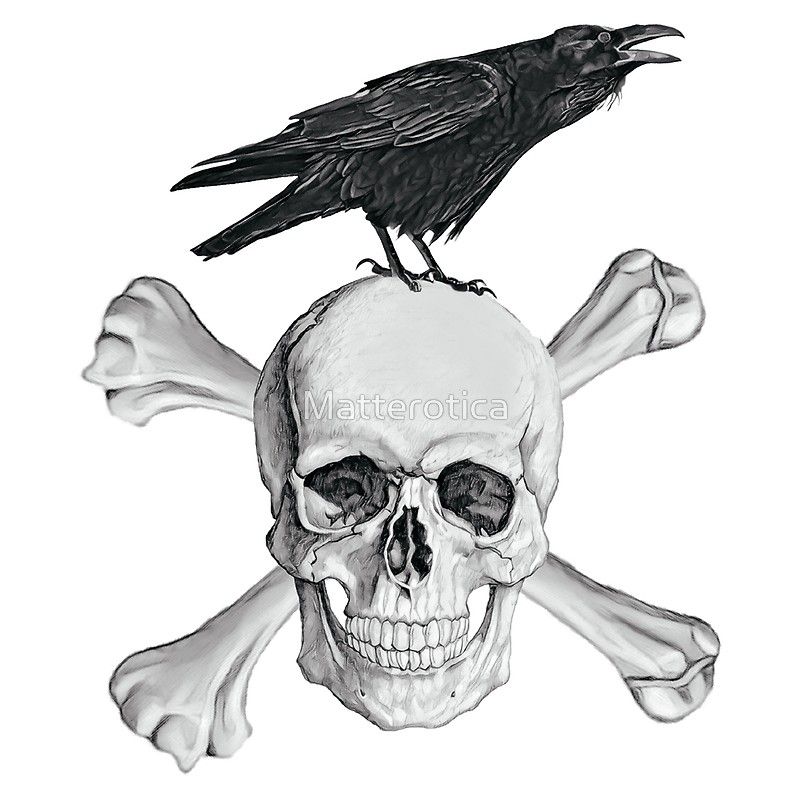 800x800 Crows Skull' Poster