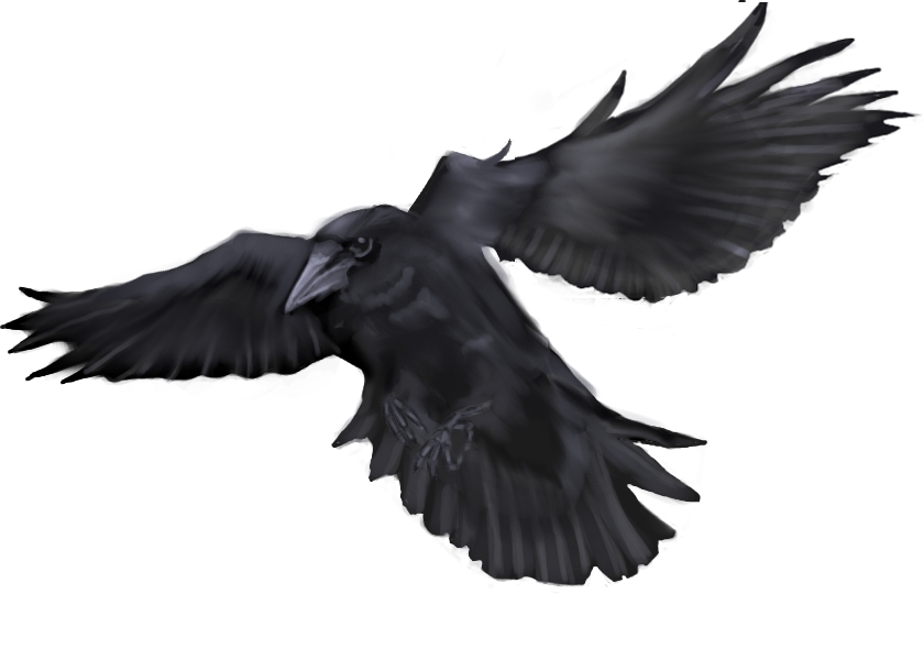 840x600 Flying Crow Tattoo Sketch Tattoo Ideas