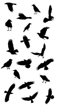 236x431 Ravens Raven Tattoo Ideas Bird Stencil Crow Tattoo Ideas Black