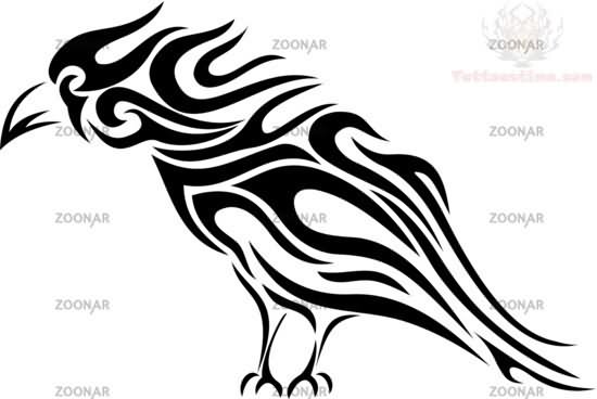 550x368 Celtic And Tribal Crow Tattoo Design