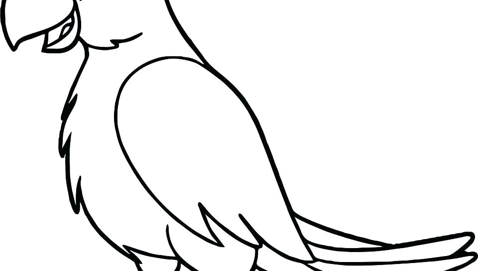 960x544 Parrot Paper Crown Printable Coloring Face Mask Template Animal