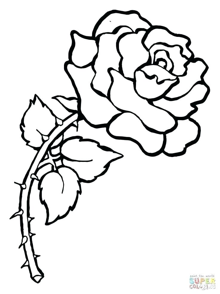 736x981 Coloring Pages Crown Of Thorns