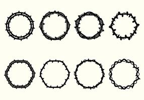286x200 Crown Of Thorns