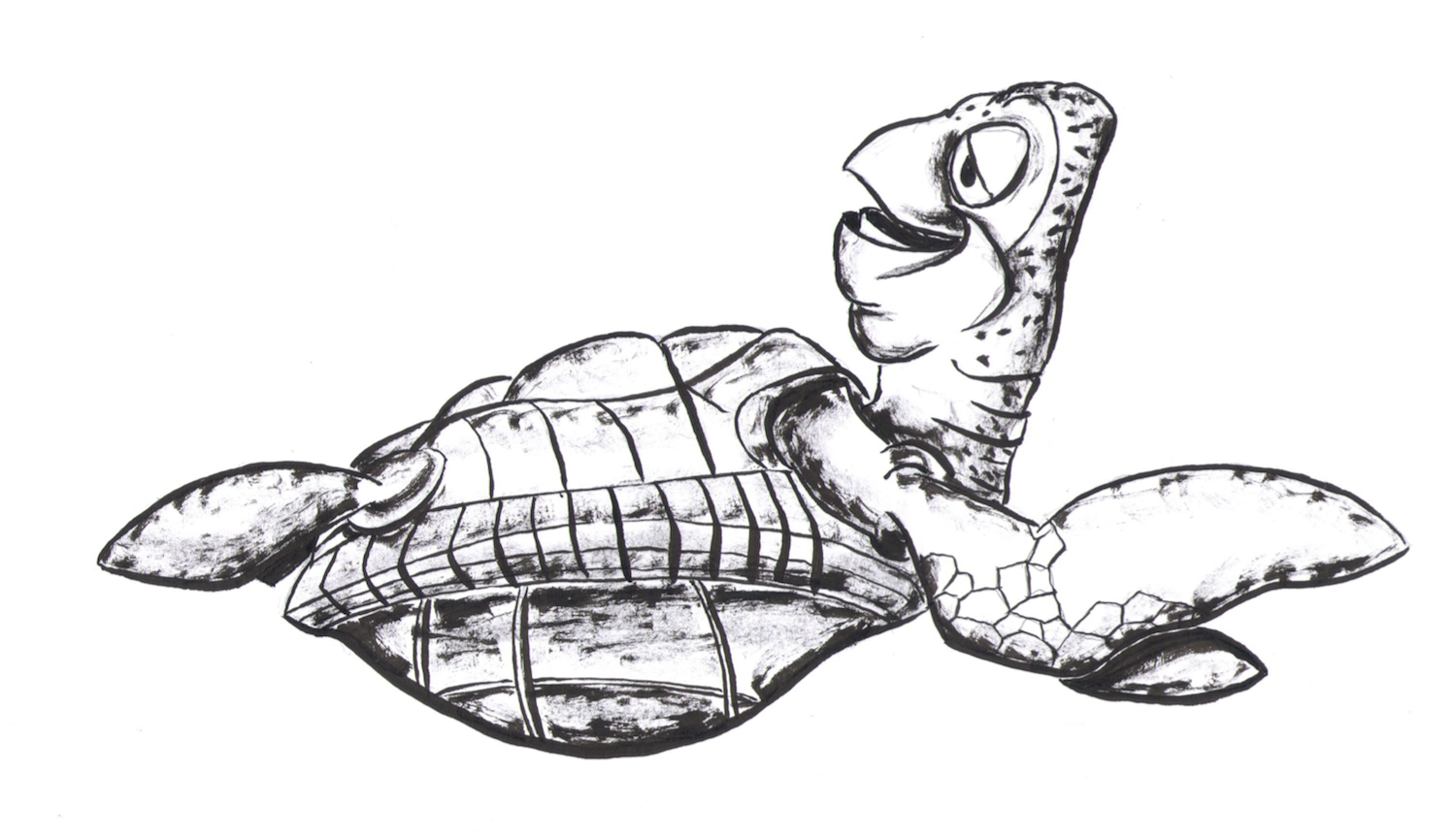 Черепаха эскиз