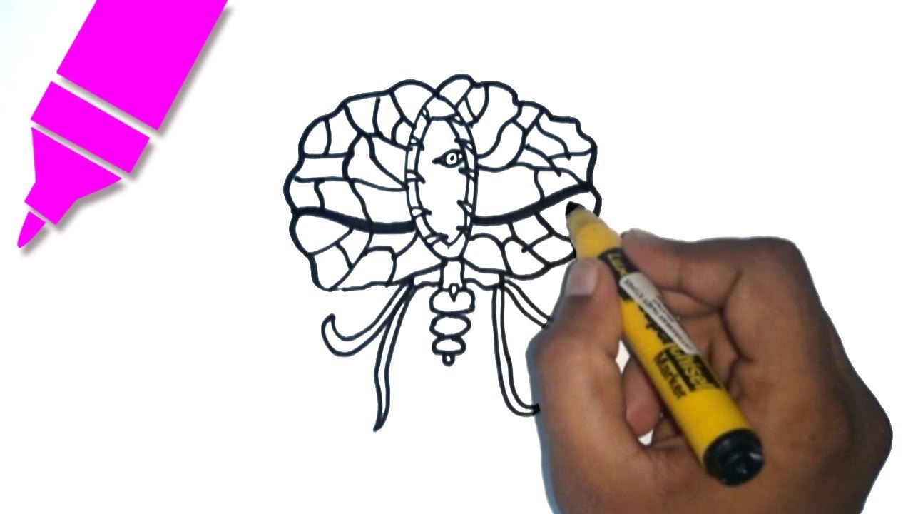 1280x720 How To Draw Brain Of Cthulhu Terraria Easy Step