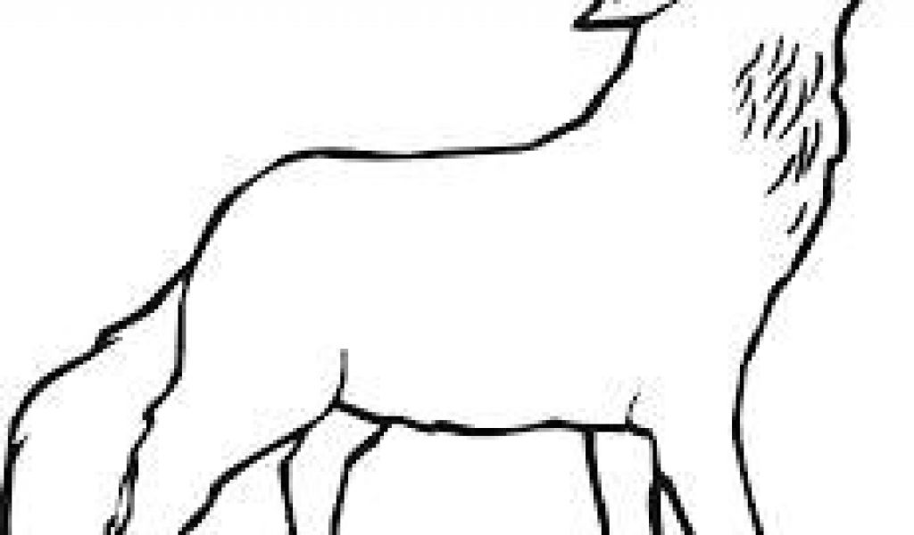 1024x600 drawing a wolf cub resultat de recherche d images pour silhouette