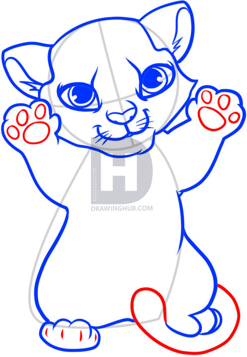 497x720 How To Draw A Tiger Cub, Tiger Cub, Step