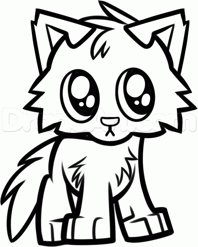 654x814 How To Draw A Baby Wolf Cub, Step
