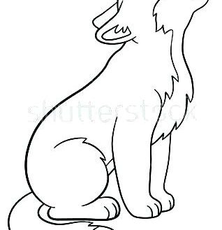 318x329 wolf cub coloring pages incredible dragoart how to draw puppies