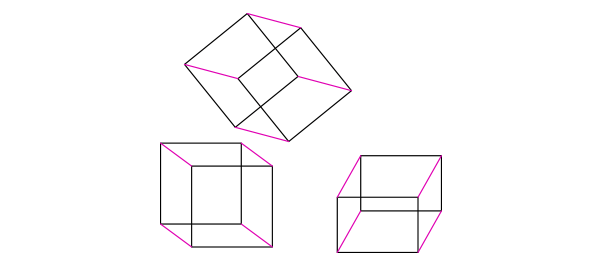 600x270 Live Perspective Draw Animals In Space