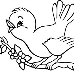 250x250 Coloring Pages Of Cuckoo Bird Cardinal Baby Tweety Cute Alphabet