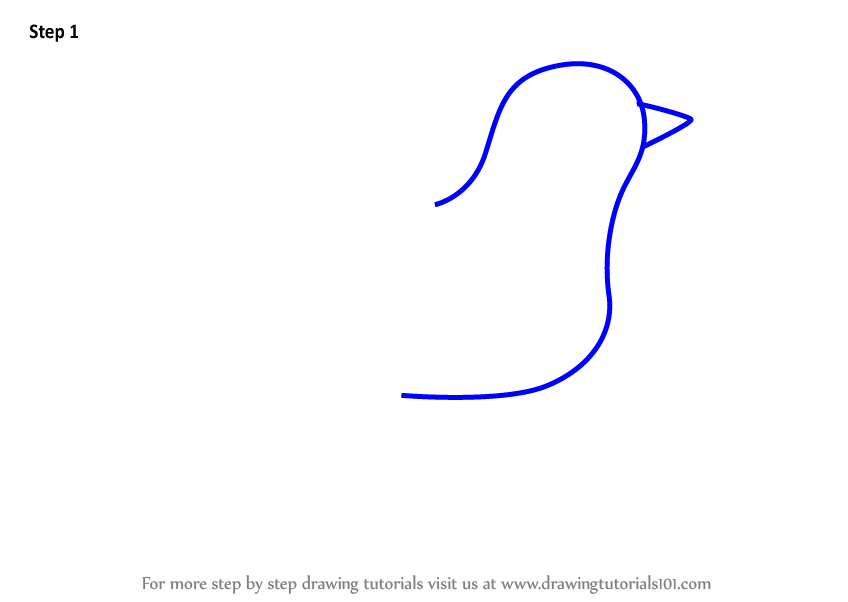 848x602 Learn How To Draw A Cuckoo For Kids