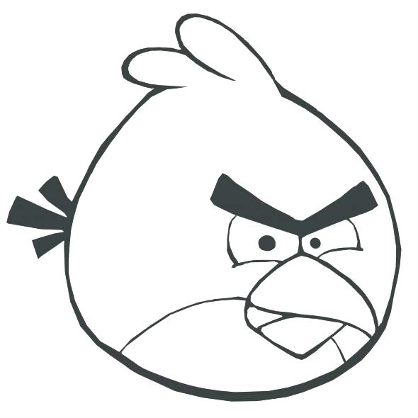 590x590 Robin Bird Drawing At Free For Personal Use Angry Birds Coloring