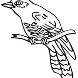 159x159 The Best Place For Coloring Page