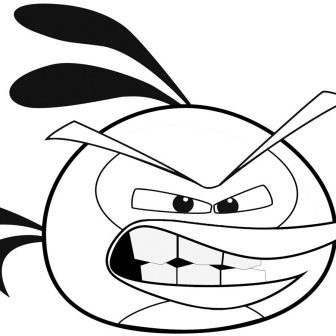 336x336 Coloring Of Cuckoo Bird