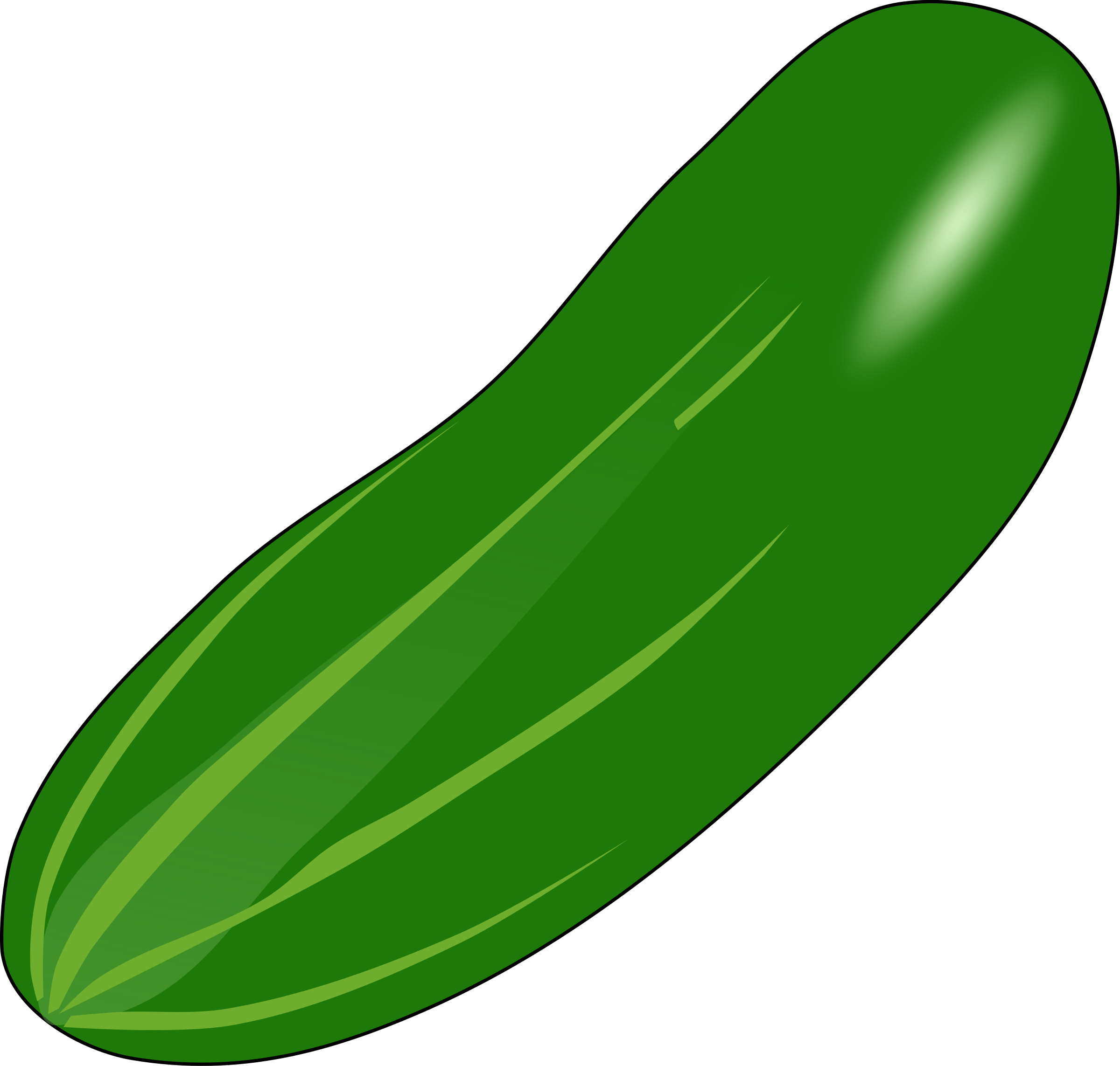 2400x2286 Cucumber Drawing, Picture