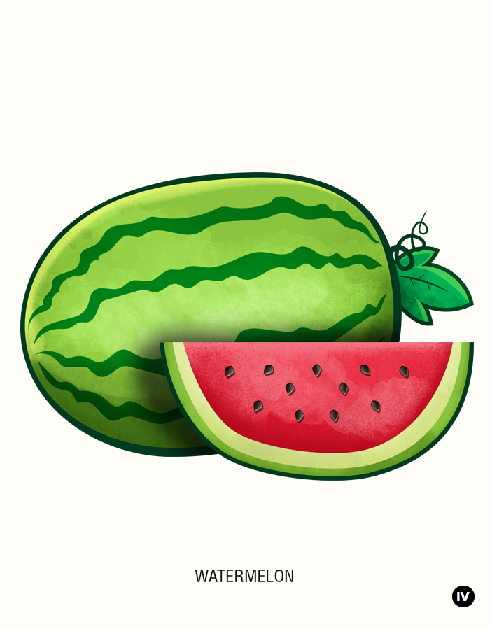 700x899 Watermelon Drawing Clipart Best