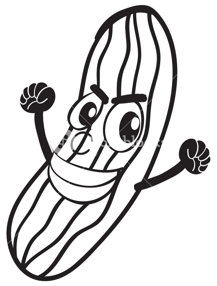 758x1000 Detailed Illustration A Cucumber Sketch On A White Background