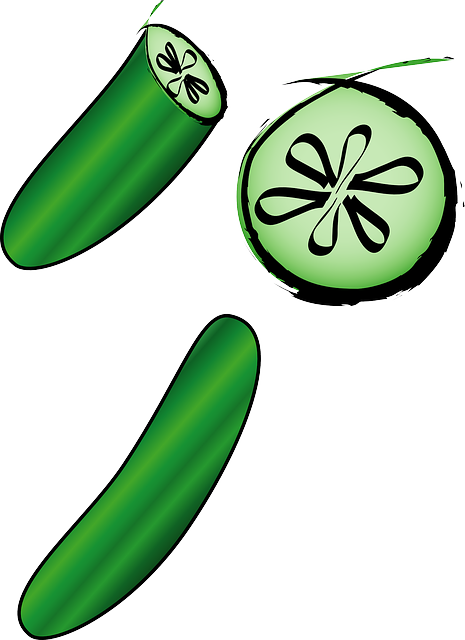 465x640 Green, Food, Slice, Drawing, Cartoon, Free, Draw Clipart Idea