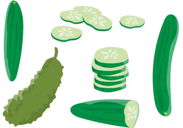 700x490 Cucumber Free Vector Art